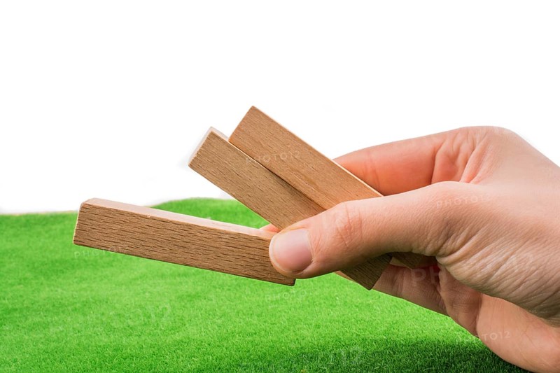 Wooden dominos on green grass