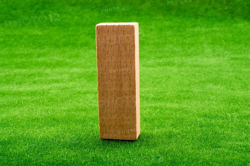 Wooden domino on green grass