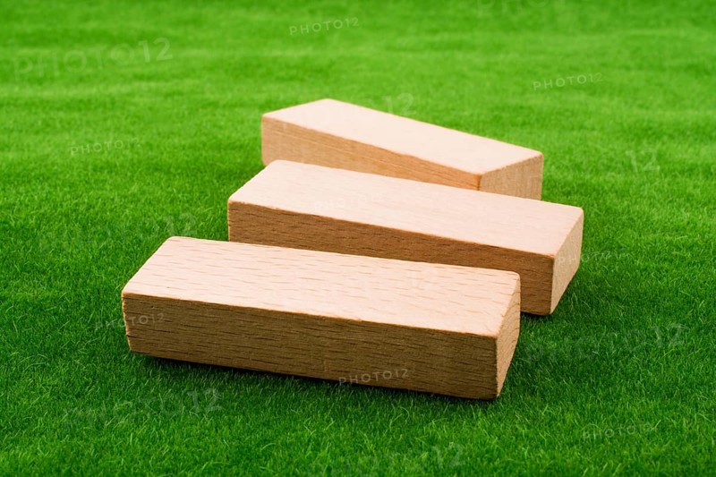 Wooden dominos on green grass
