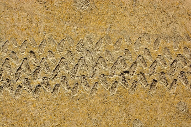 Tire tracks tire marks on Concrete as abstract grunge texture