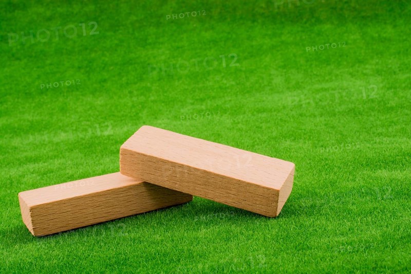 Wooden dominos on green grass