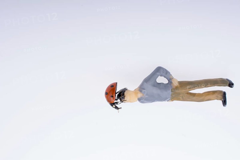 Ladybug walking on body of figurine man