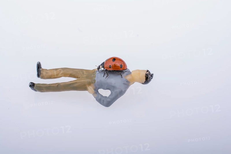 Ladybug walking on body of figurine man