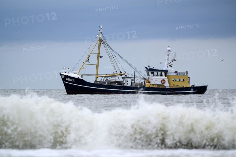 Shrimper