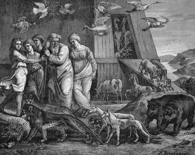 The Flood