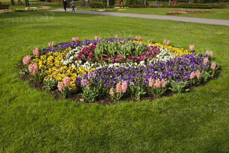 Flowerbed in the spa gardens