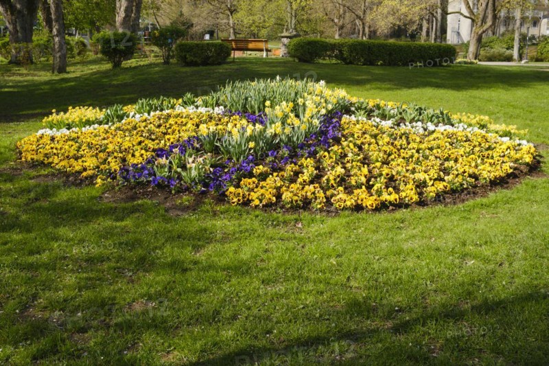 Flowerbed in the spa gardens