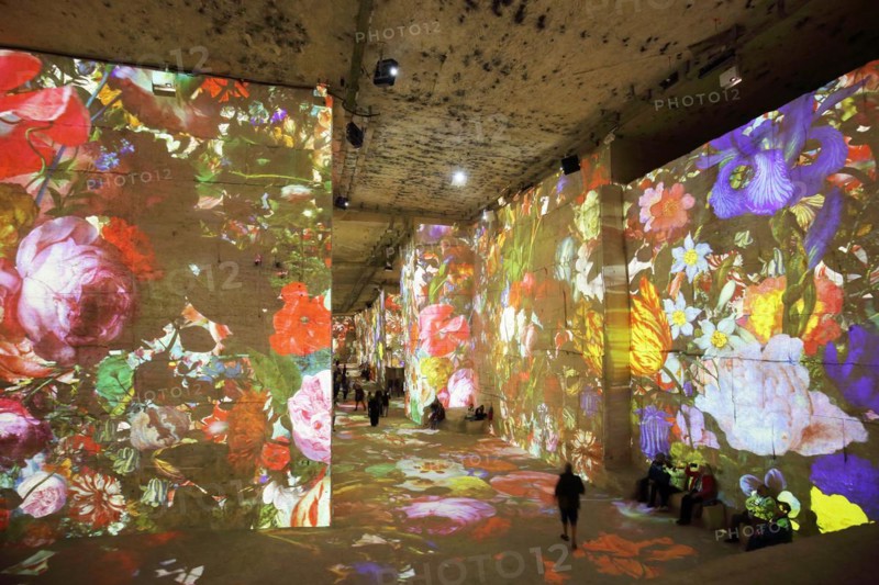 Carrières des Lumières with show Vermeer à Van Gogh