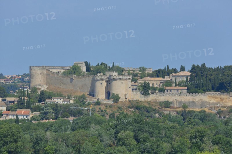 View from Rocher des Doms on historic Fort Saint-André with defence towers