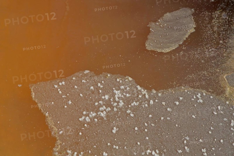 Salt deposit in brown water at saline