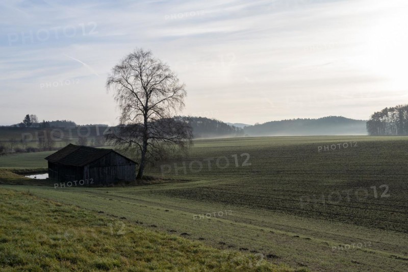Morning breaks over an outhouse beside an isolated tree in Upper Franconia