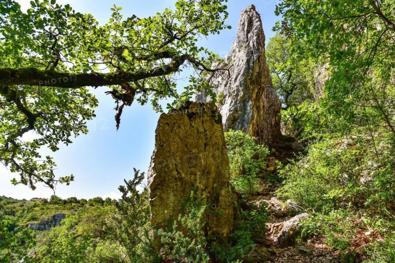 Hiking trail in the gorge of the river Calavon near the village of Oppedettes in the Luberon nature park Park