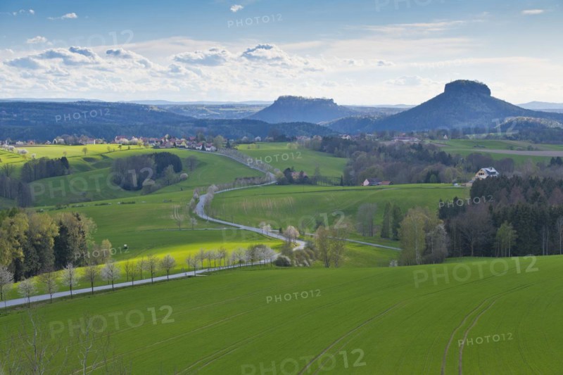 Spring in Saxon Switzerland at Adamsberg with view of Lilienstein and Königstein Fortress