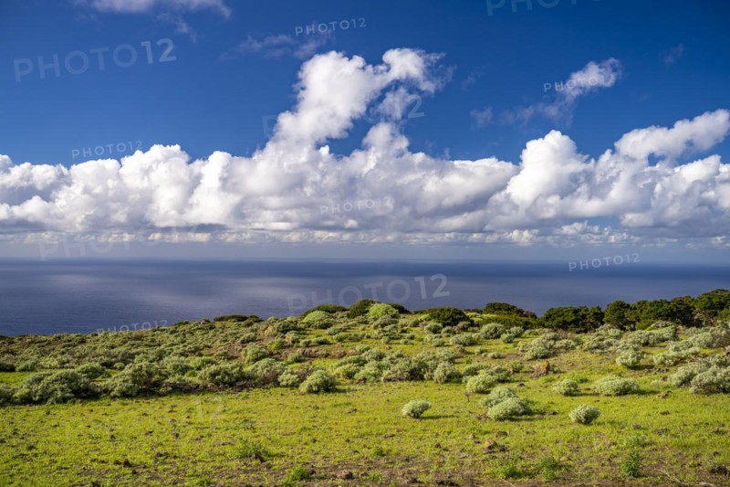 Landscape in the El Sabinar Biosphere Reserve