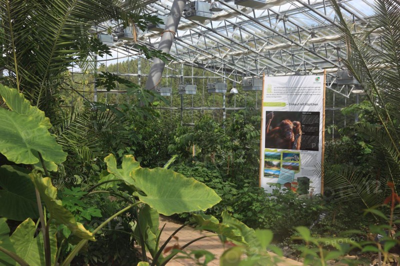 Tropical House Klein Eden in Kleintettau