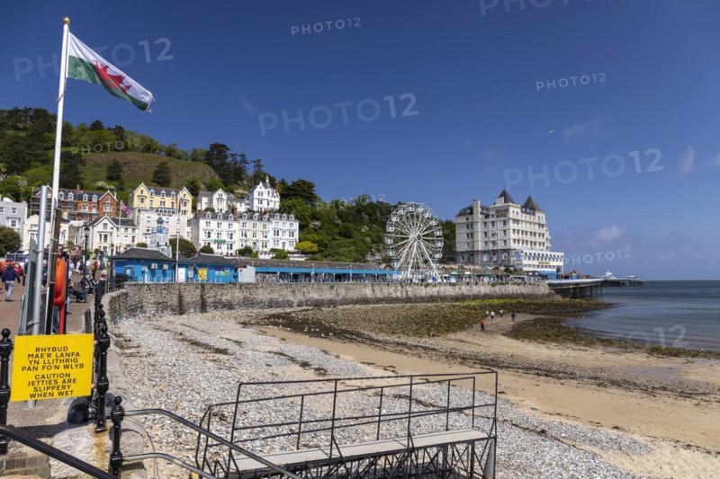 Welsh Flag Promenade