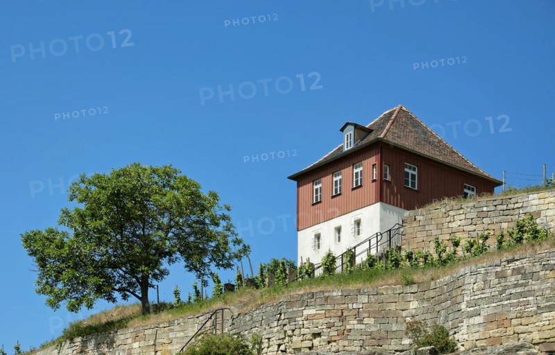 Etching house at the Max-Klinger vineyard