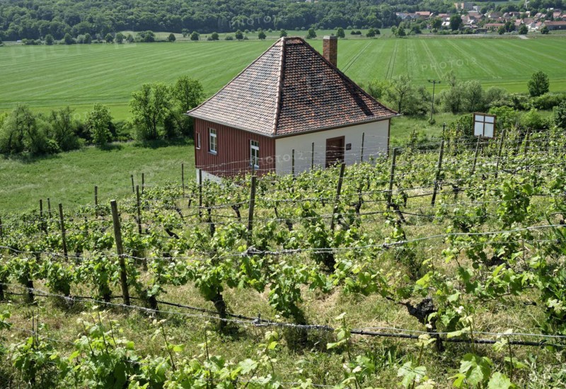 Etching house at the Max-Klinger vineyard