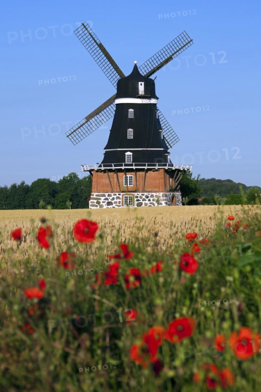 Traditional windmill in field at Krageholm