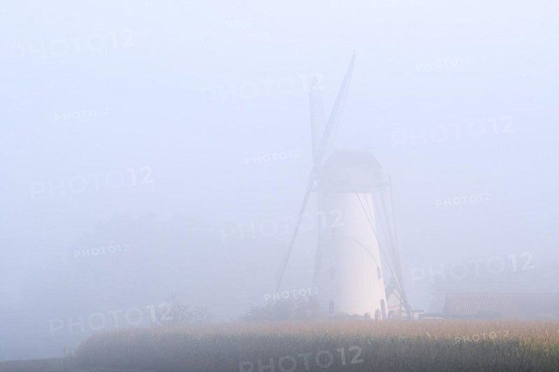 Van Vlaenderensmolen in early morning mist