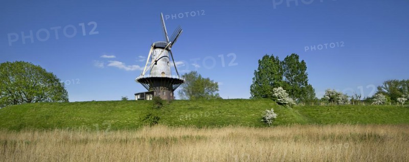 Windmill De Koe
