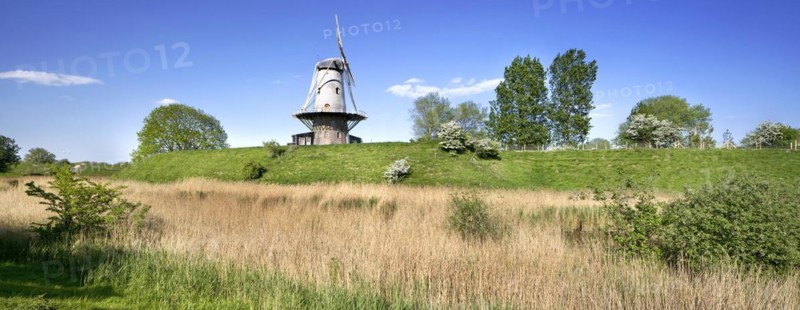 Windmill De Koe