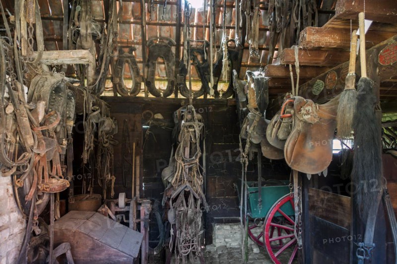 Interior of stable showing old saddles and vintage horse collars at the open air museum Bachten de Kupe