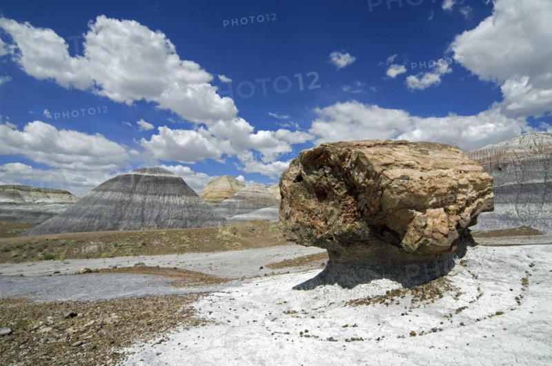 Petrified pedestal log along the Blue Mesa trail in the Painted Desert and Petrified Forest National Park