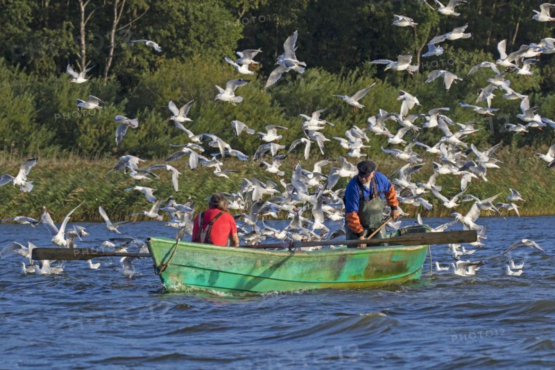 Two fishermen in rowboat