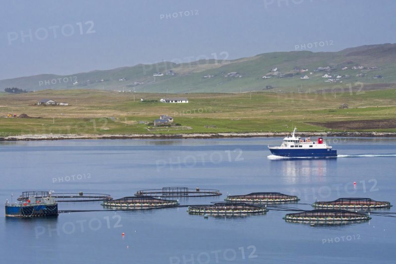 Ferry boat Linga sailing past sea cages
