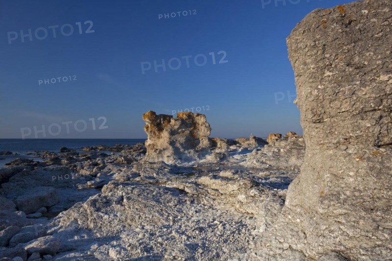 Limestone sea stacks