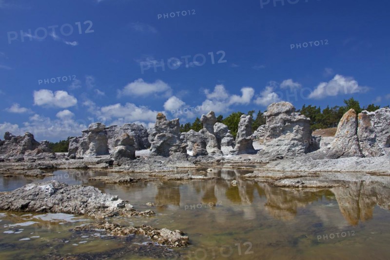 Limestone sea stacks