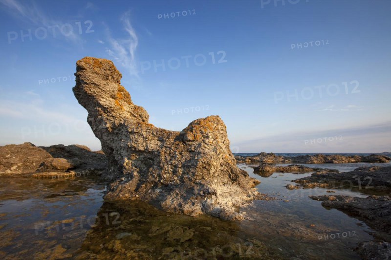 Limestone sea stacks