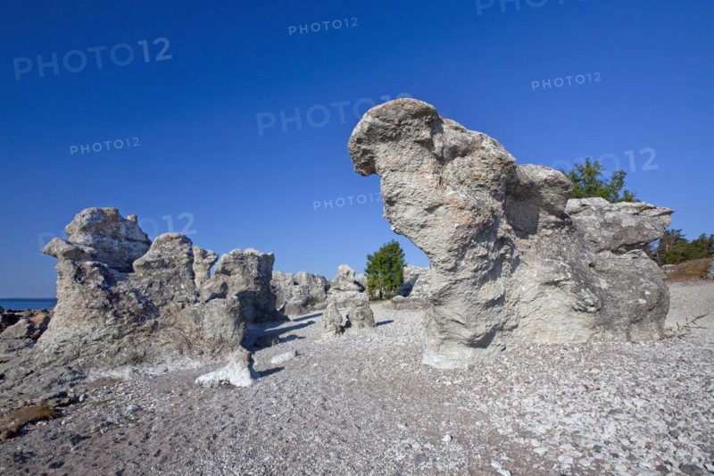 Limestone sea stacks