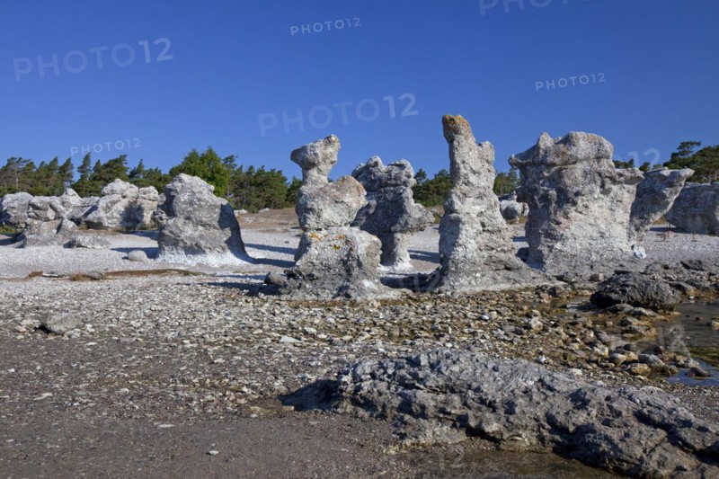 Limestone sea stacks