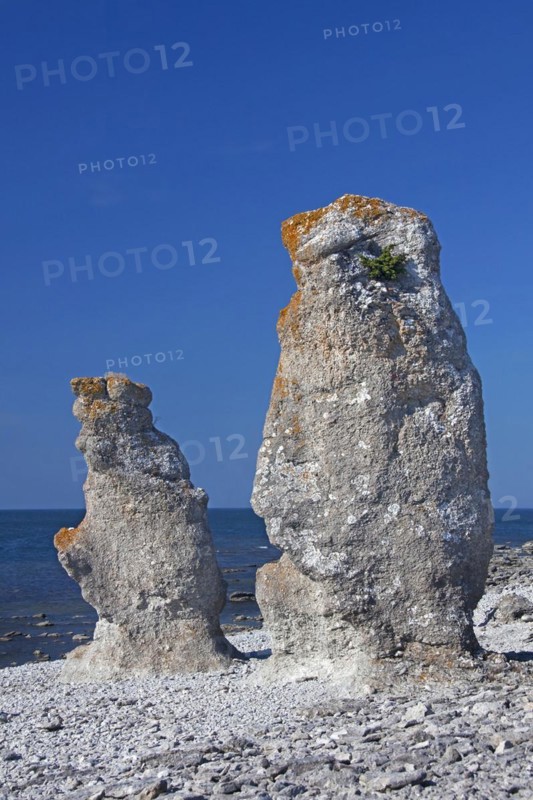 Limestone sea stacks