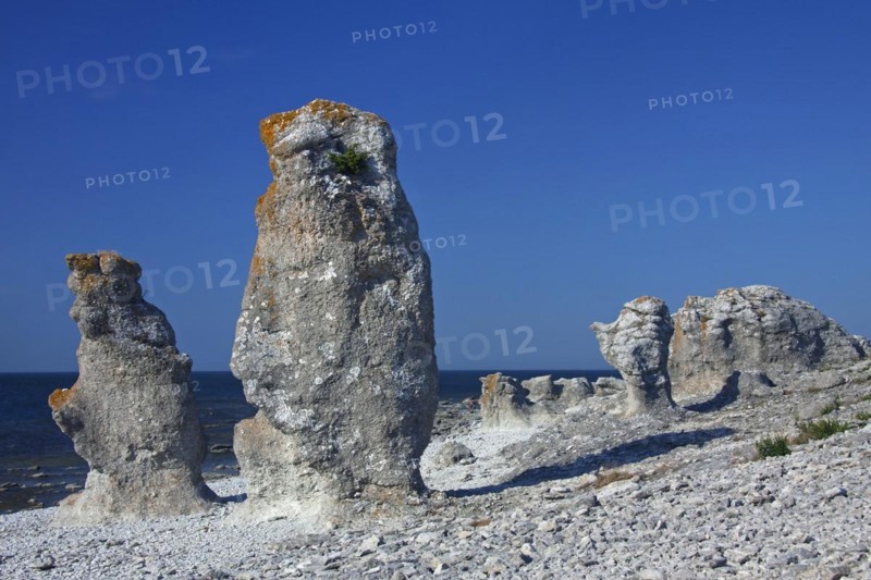 Limestone sea stacks