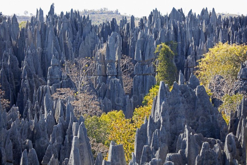 Karst limestone formation in the Tsingy de Bemaraha Strict Nature Reserve
