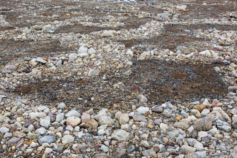 Partially melted and collapsed lithalsas