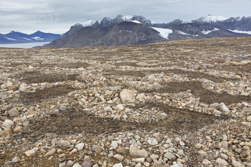 Partially melted and collapsed lithalsas