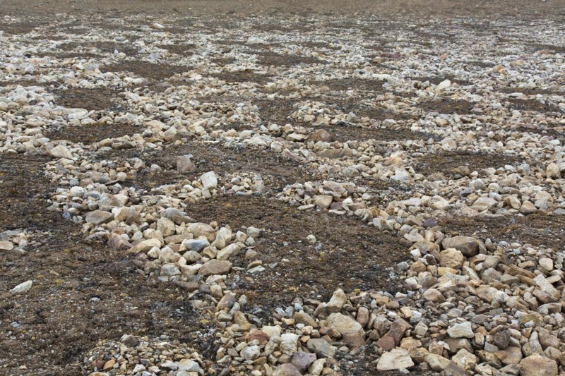 Partially melted and collapsed lithalsas