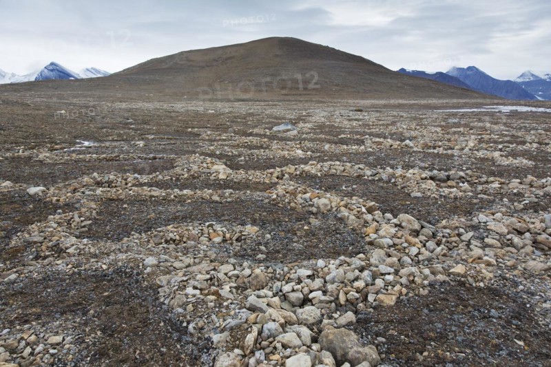 Partially melted and collapsed lithalsas