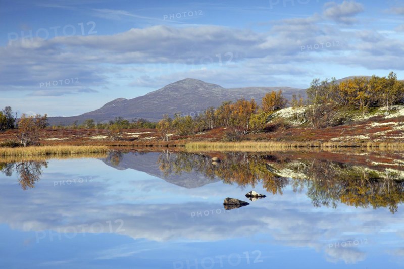 Lake in marshland of the Fokstumyra Nature Reserve in autumn