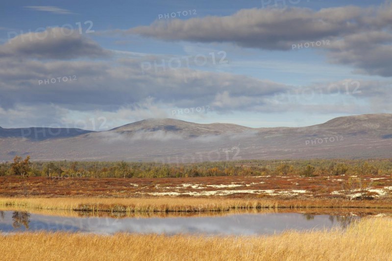 Lake in marshland of the Fokstumyra Nature Reserve in autumn