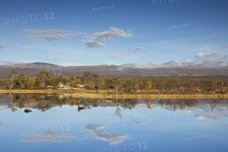 Lake in marshland of the Fokstumyra Nature Reserve in autumn