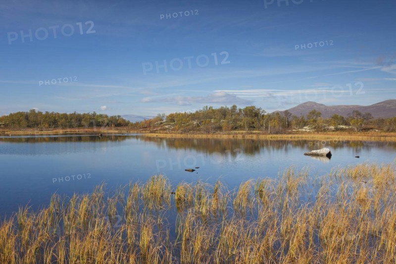 Lake in marshland of the Fokstumyra Nature Reserve in autumn