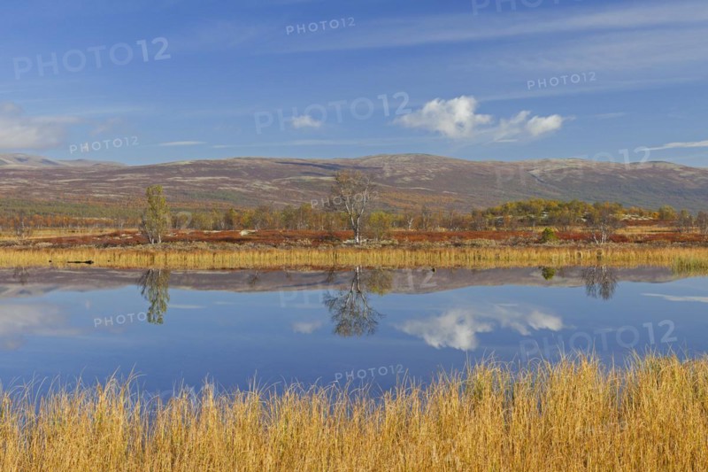 Lake in marshland of the Fokstumyra Nature Reserve in autumn