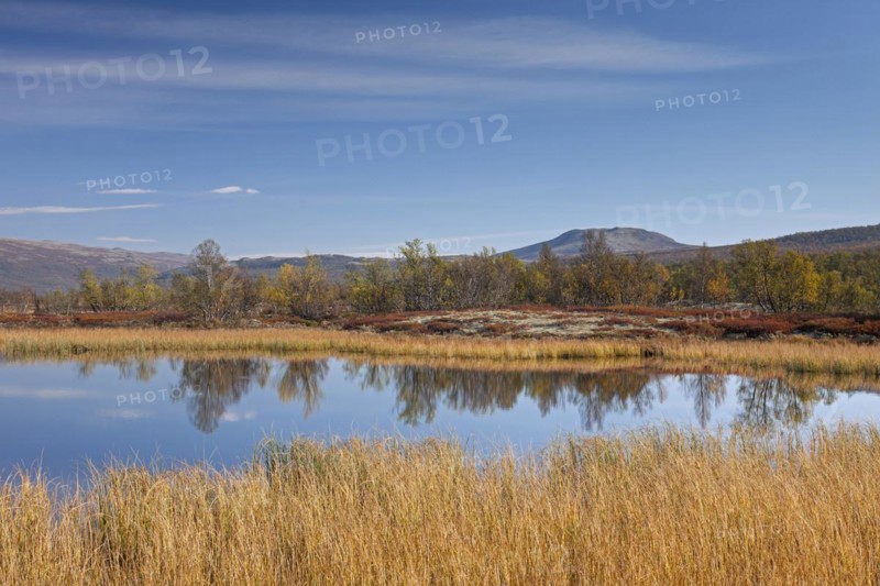 Lake in marshland of the Fokstumyra Nature Reserve in autumn