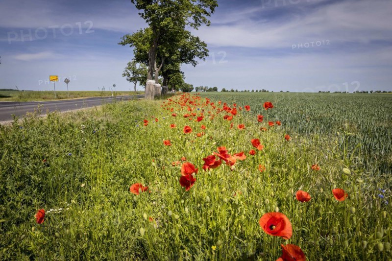 Region Altmark in Saxony-Anhalt