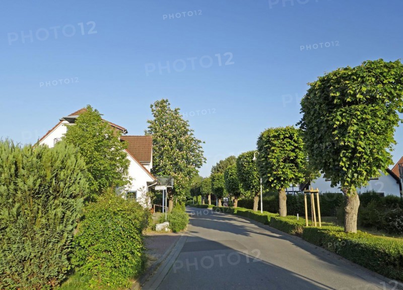 Lindenstraße